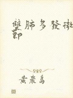 双肺多发微小结节