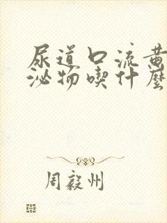 尿道口流黄色分泌物吃什么好