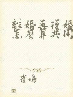 离婚再复婚财产怎么算共同财产的