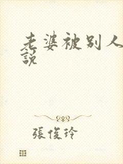 老婆被别人干小说封面