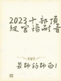 2023十部顶级官场耐看小说