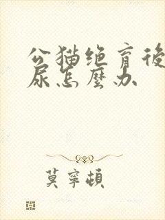 公猫绝育后还乱尿怎么办