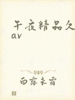 午夜精品久久久av