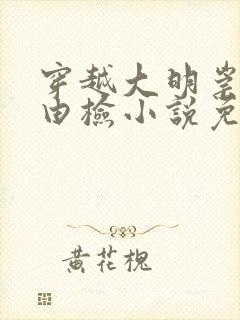 穿越大明崇祯朱由检小说免费阅读