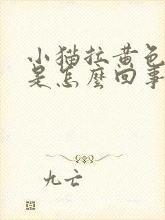 小猫拉黄色稀便是怎么回事