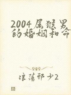 2004属猴男的婚姻和命运如何呢封面