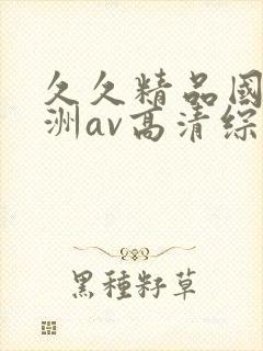 久久精品国产亚洲av高清综合