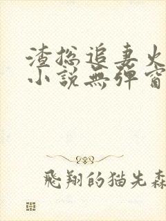 渣总追妻火葬场小说无弹窗