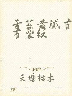 舌苔黄腻有齿痕有裂纹