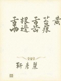 舌根舌苔黄腻 两边齿痕