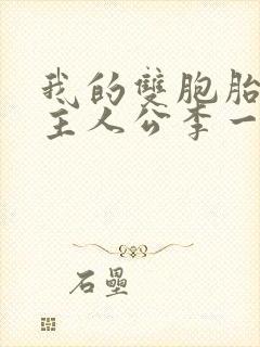 我的双胞胎老婆主人公李一飞