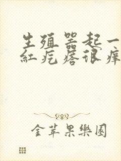 生殖器起一排小红疙瘩很痒