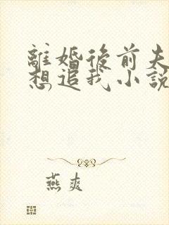 离婚后前夫总是想追我小说在线阅读封面