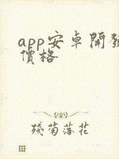 app安卓开发价格封面