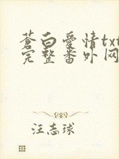 苍白爱情txt完整番外网盘