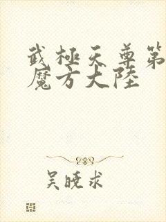 武极天尊第三部魔方大陆