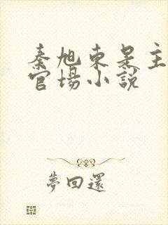 秦旭东是主角的官场小说