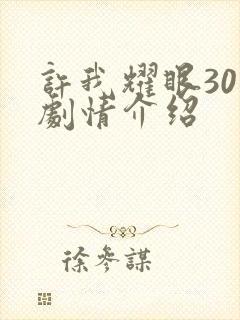 许我耀眼30集剧情介绍