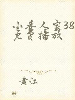 小巷人家38集免费播放