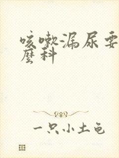 咳嗽漏尿要看什么科