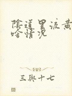 阴道里流黄水是啥情况