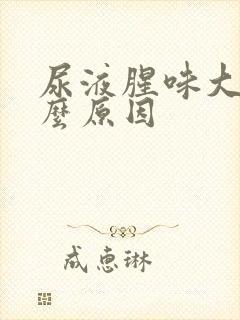 尿液腥味大是什么原因