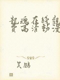 龙魂在线观看免费高清动漫全集