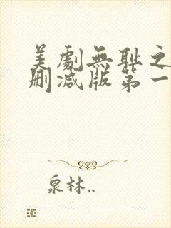 美剧无耻之徒无删减版第一季封面