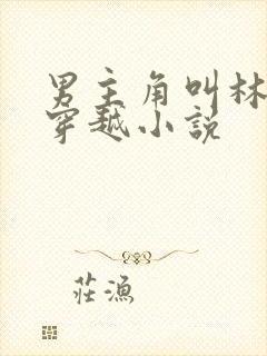 男主角叫林凡的穿越小说