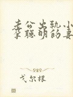 老公出轨小三怀孕聪明的妻子应该怎么办封面