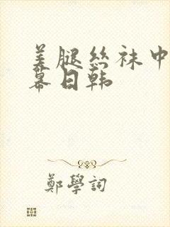 美腿丝袜中文字幕日韩