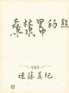 森林里的熊先生,冬眠中