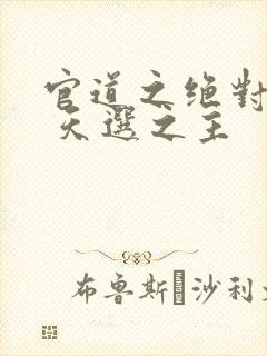 官道之绝对权力 天选之主