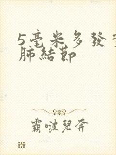 5毫米多发实性肺结节