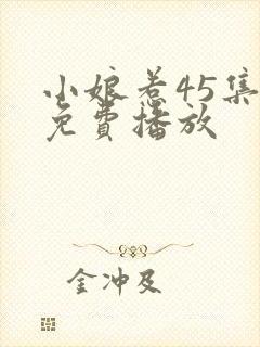 小娘惹45集全免费播放封面