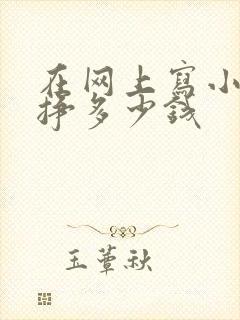 在网上写小说能挣多少钱