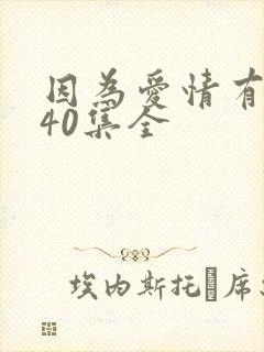 因为爱情有多美40集全