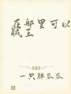 在哪里可以看海贼王