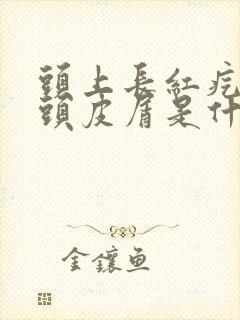 头上长红疙瘩有头皮屑是什么原因