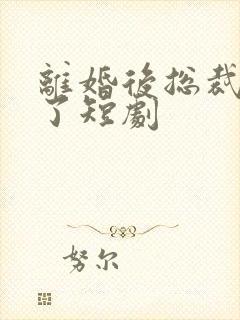 离婚后总裁后悔了短剧