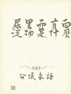 尿里面有白色沉淀物是什么原因