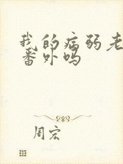 我的病弱老婆有番外吗封面