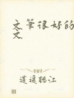 文笔很好的年代文