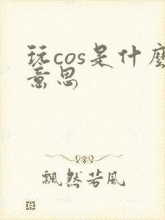 玩cos是什么意思