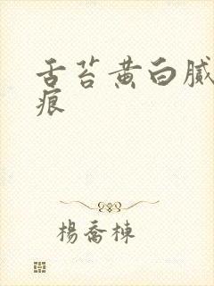 舌苔黄白腻有齿痕封面