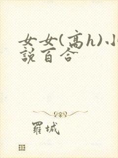 女女(高h)小说百合封面