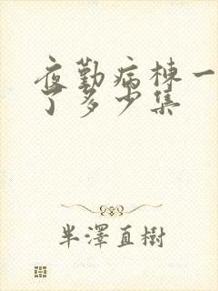 夜勤病栋一共出了多少集