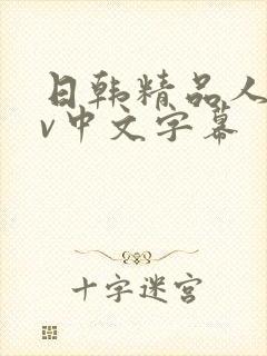 日韩精品人妻av中文字幕