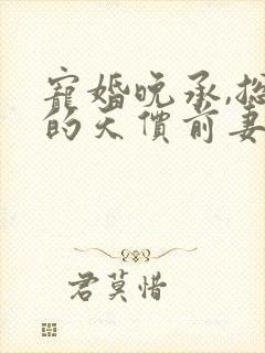 宠婚晚承,总裁的天价前妻