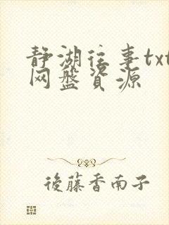 静湖往事txt网盘资源